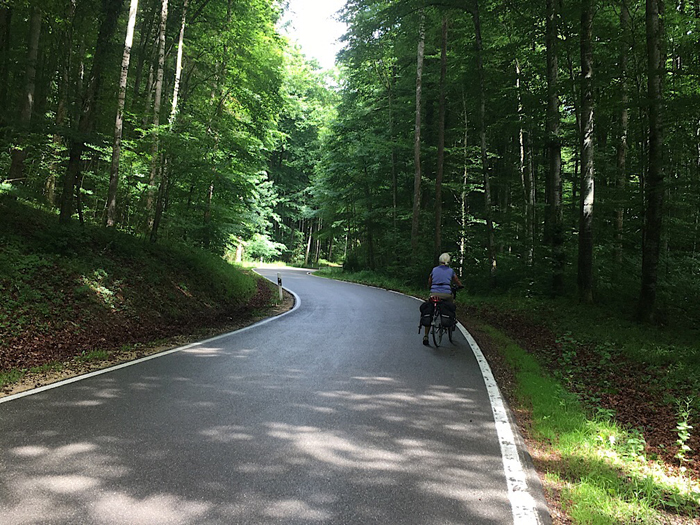 Eurovelo 6 on a quiet road